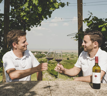 Florian und Thomas Wimmer stoßen an mit einem ausgezeichneten Tropfen Wein von Weingut und Straussenfarm Wimmer