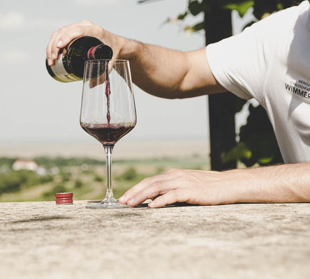 Ein Glas Wein trinken bei Weinlaubenkuppel in Oggau von Weingut und Straussenfarm Wimmer